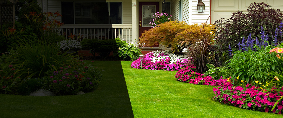 Woodford Landscapers