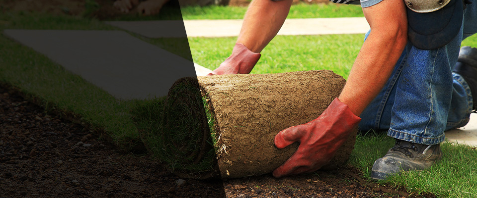 Woodford Landscapers